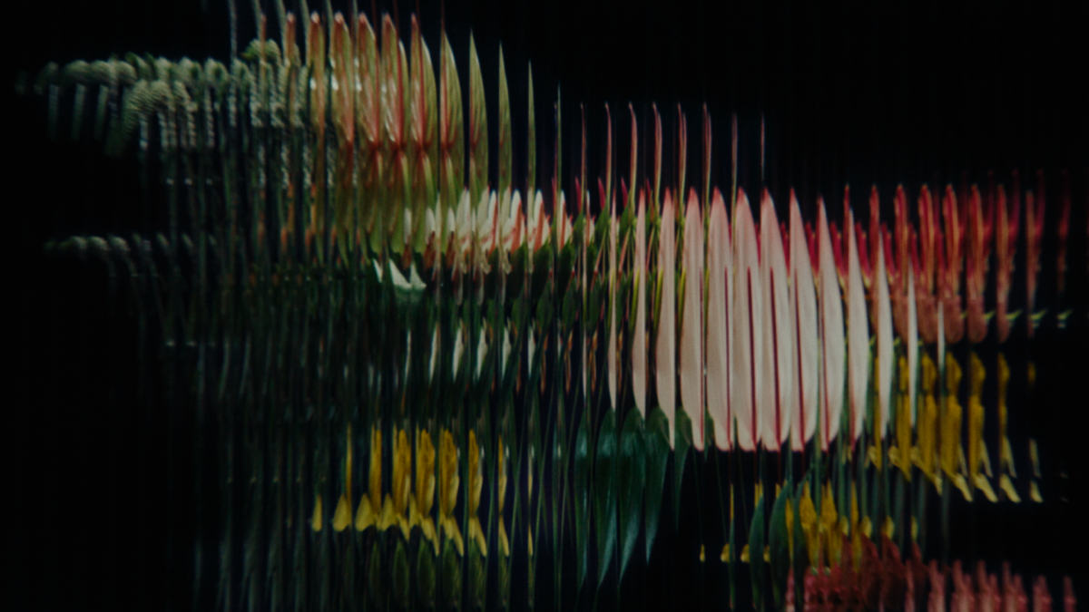 Video preview poster